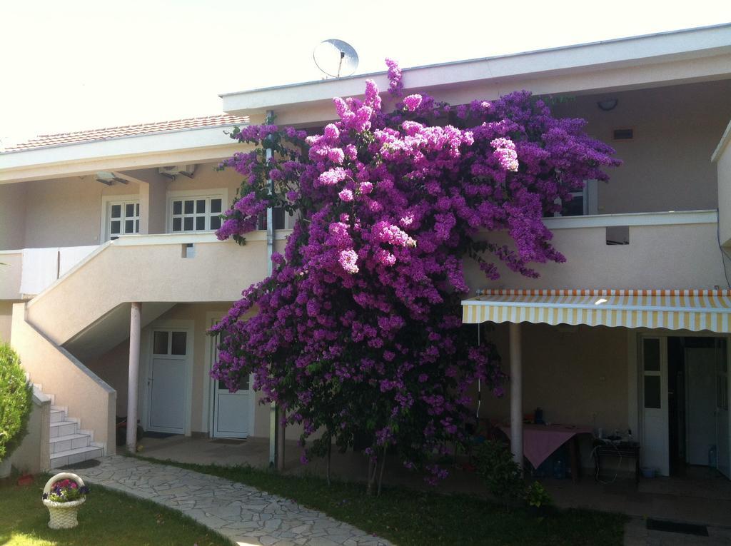 Apartments Ada Bojana Ulcinj Pokój zdjęcie